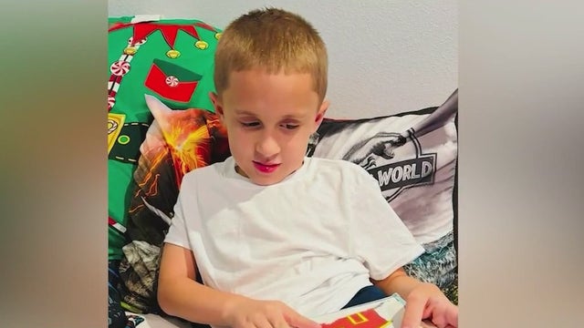 Dogs that killed 8-year-old Florida boy euthanized Thursday, officials say