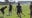Gold Cup: USMNT takes on Saudi Arabia at Q2