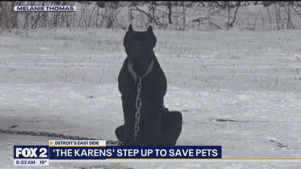 The Karens saving dogs left out in the cold