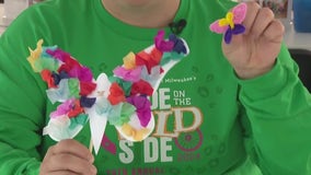 Butterfly theme at the Milwaukee County Zoo