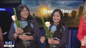 Art of designing floral arrangements event in Dallas