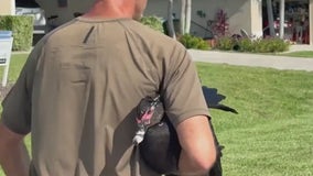 Angry duck finds new home at Ocala sanctuary