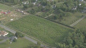 Taylor Swift corn maze Maryland bird’s-eye view.