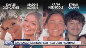 Idaho murder suspect Bryan Kohberger plea deal hearing