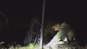 Tesla driver struck by bullet in I-680 Alamo shooting: CHP