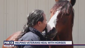 Helping veterans heal with horse therapy