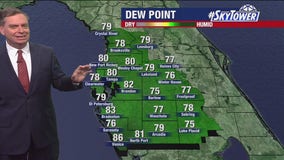 Tampa Weather | High temp with lots of sunshine