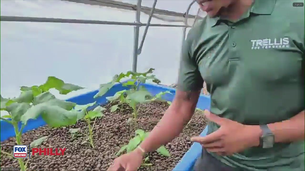 Check out Trellis for Tomorrow at Lundale Farms in Chester County | FOX Weather Philly