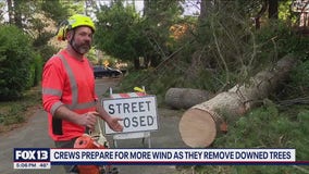 More wind headed to WA as crews clear downed trees