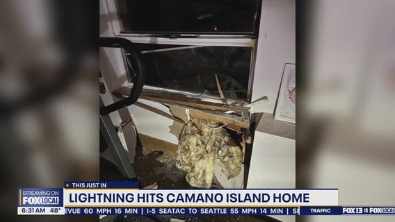 Lightning strikes Camano Island, WA home