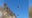Paraglider hits power pole, escapes injury in Phoenix