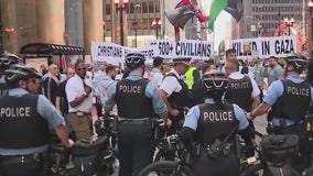 Concerns rise over potential for violence at Democratic National Convention amid Gaza war protests