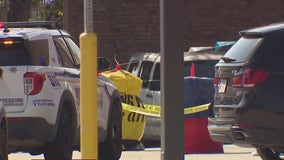 Humble Walmart shooting: Employee injures one during group altercation, suspect identified