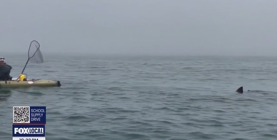 Kayakers' shark encounter at Half Moon Bay caught on video