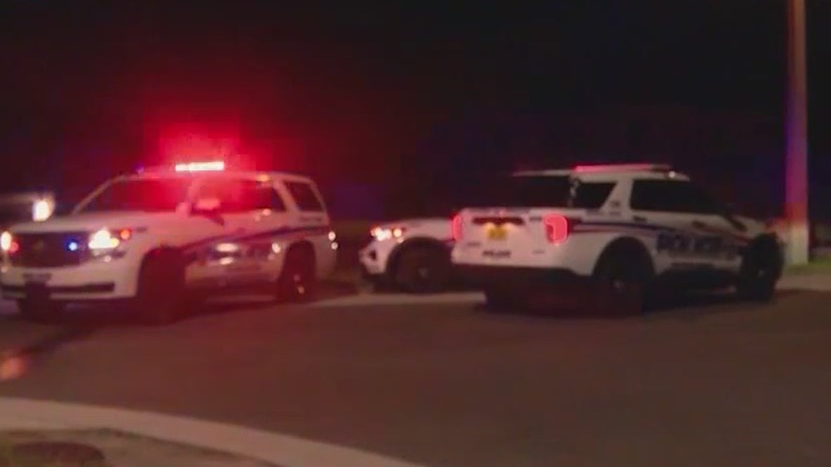 1-year-old hit & killed after running after family dog