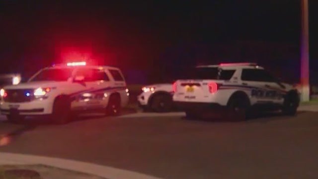 Child hit, killed while chasing after family dog in Daytona Beach, police say