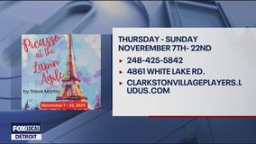 The Clarkston Village Players Presents: Picasso at the Lapin Agile