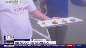 All about the Avotesla!