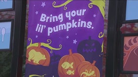 Milwaukee County 'Boo at the Zoo'; not-so-scary activities Oct. 24-26