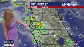 Tampa weather: Partly sunny Sunday across Bay Area