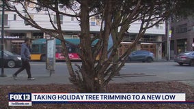 Man butchers beloved West Seattle public Christmas tree