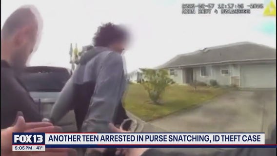 Third teen arrested in King County crime spree