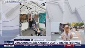 22ND ANNUAL ALEXANDRIA OLD TOWN ART FESTIVAL