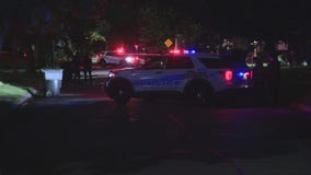 Young child, man shot in Detroit