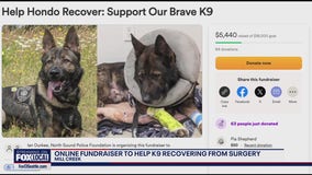 Fundraiser to help K9 Hondo recovering from surgery