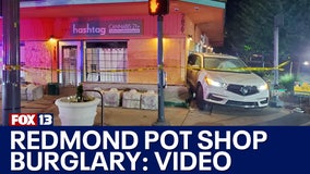 Pot shop burglary in Redmond, WA