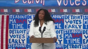 Celebrities rally for VP Harris in battleground states