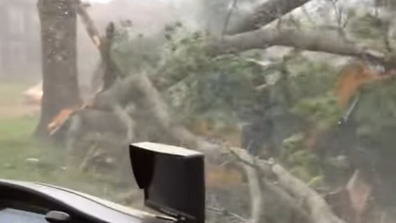 'We're in a tornado!': Watch St. Louis construction workers ride out destructive twister in their truck