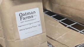 Wheat | Forecast to Farm to Table