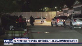 Houston crime: Family hears fatal gunshots that killed 17-year-old teen