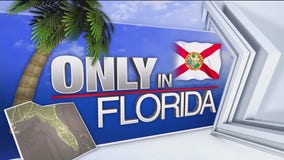 Only in Florida