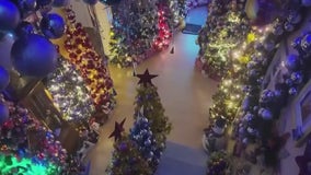 Couple breaks own Christmas tree record