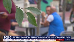 DOGE cuts impacting Montgomery County, report shows