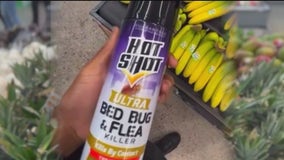 Man arrested for spraying bug spray on grocery items