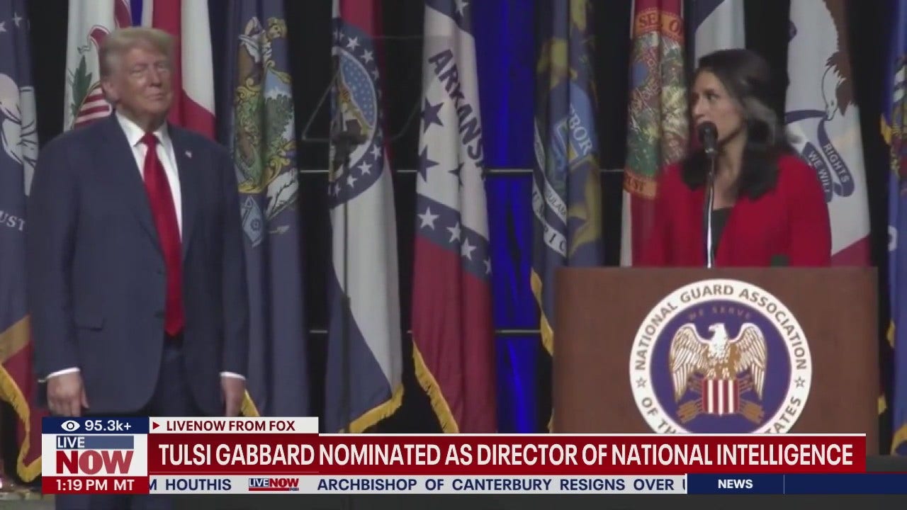 Tulsi Gabbard chosen as DNI