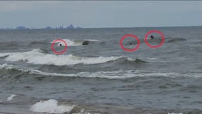 Great Lakes drownings prompt safety training amid rising death toll