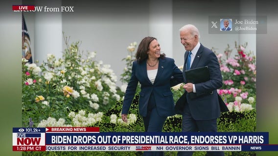 These top Democrats are endorsing Harris in presidential race