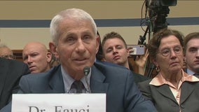 Dr. Fauci testifies before congress