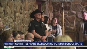 Committee hears bill requiring vote for school splits