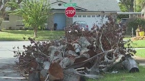 Residents struggle with Hurricane Milton debris