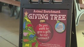 Helping the animals at the Milwaukee County Zoo