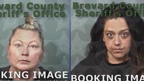 Florida principal hosts underage house party; Alcohol, marijuana, fights, and gun found: affidavit