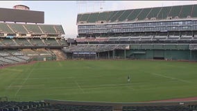 Oakland Coliseum's new soccer field is in place for the Oakland Roots upcoming season