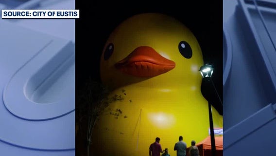 World's largest rubber duck on display in Central Florida