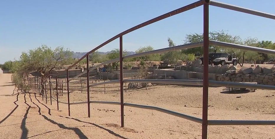 Dozens of exotic animals returned to rightful owner following Rio Verde raid