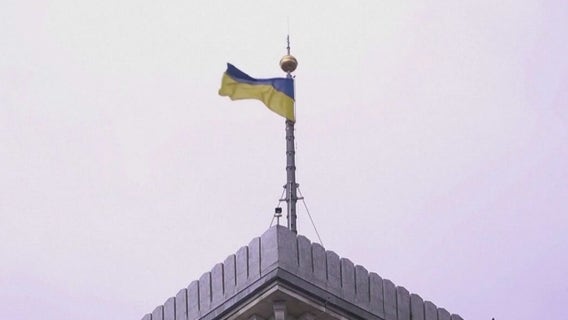 Trump, Zelenskyy tension over misinformation | What's Your Point?